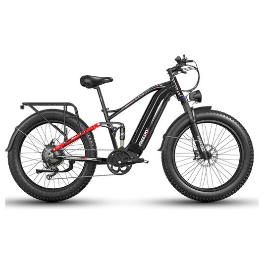 eBike Freesky Eurostar Ultra M-410