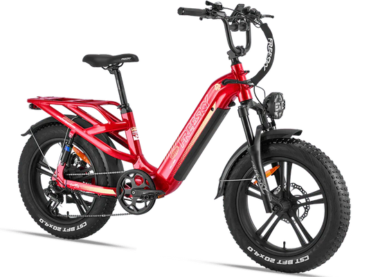 eBike Freesky Rocky Pro A-320