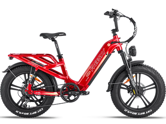 eBike Freesky Rocky Pro A-320