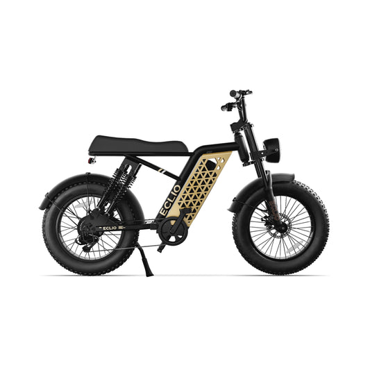 Eclio Vetus 1 Product Image Obsidian Gold 1