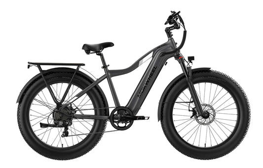 MOKWHEEL Tor Plus 750 w Step Over Ebike 26x4 Fat Tire Fat Tire Electric Beach Cruiser eBike - Fat Tire eBike - MOKWH|FATT|GREY|0130 eBike Super Shop