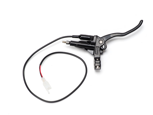 Stomp Ebox rear brake lever and master cylinder, side view showing metal lever attached to hydraulic master cylinder with mounting bracket and connecting rod.
