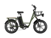 FIIDO T1 Pro - Electric Cargo Bike