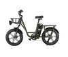 FIIDO T1 Pro - Electric Cargo Bike