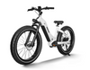 Himiway Zebra - Premium All Terrain Fat Tire Electric Bike