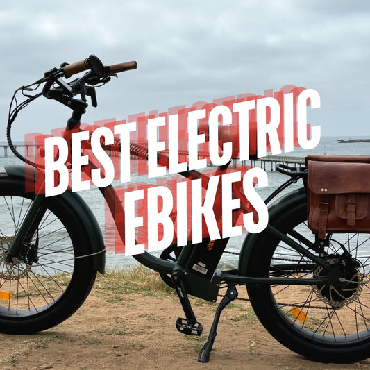 Best Electric Bike Board Online Shop EZE Ryders Electric Bike Shop