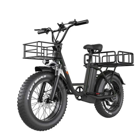 FREEGO Electric Cargo eBike FB-20X Step-thru-Step Thru 750 w Electric Communter eBike
