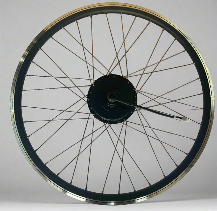 Beach Cruiser E-Bike Conversion Kit 50% OFF EZE Ryders