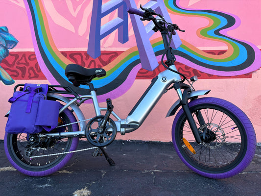 Custom Purple Rain 750 w Electric Folding eBike 20x3 Fat tire electric bike