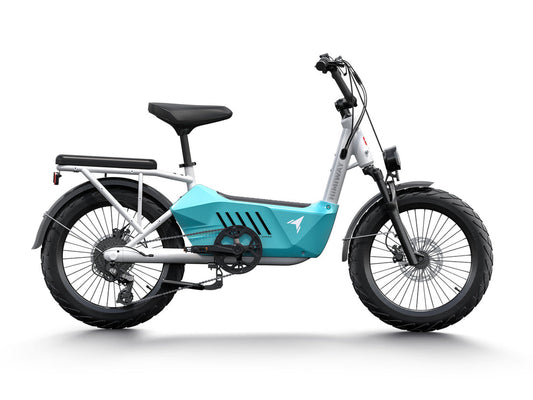 Himiway Cargo Ebike C3