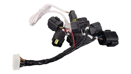 3Shul C350 / CL350 V3 Molex Wiring Harness