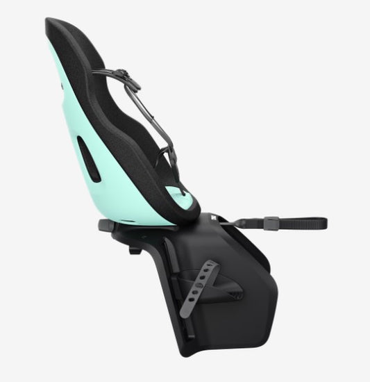 Thule Yepp Nexxt 2 maxi child bike seat