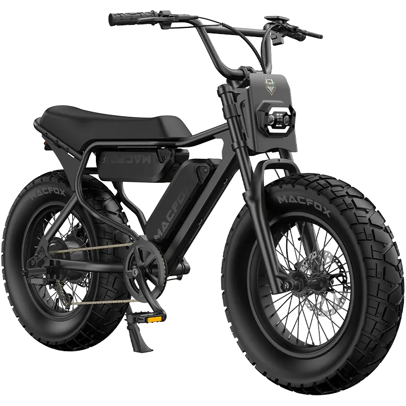 Best Selling eBikes Available for Shipping - EZE Ryders Electric