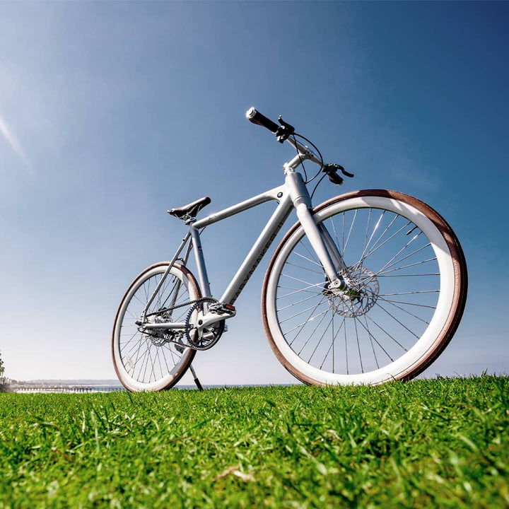 Babymaker Bike Flx Baby Maker Pro Review The Babymaker Pro