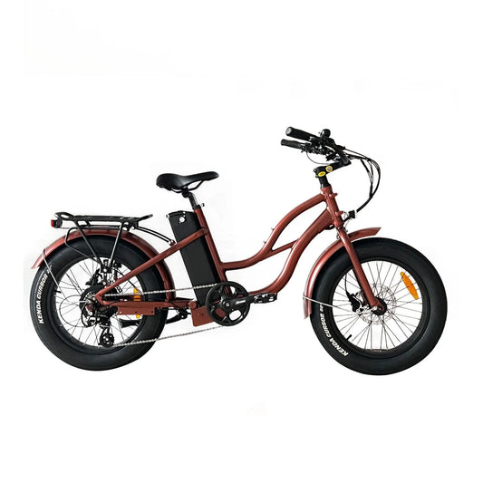 Coastal Cruiser 52V 20 Thru 750W Step Thru Ebike 20x4 Fat Tire Mini Electric Beach Cruiser