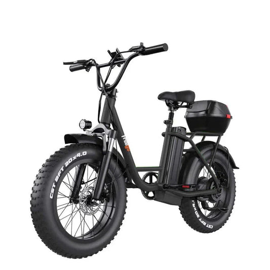 A white FREEGO FB-20X step-thru electric cargo eBike with a rear cargo rack, 750W motor, and commuter-friendly design, shown from a side angle.