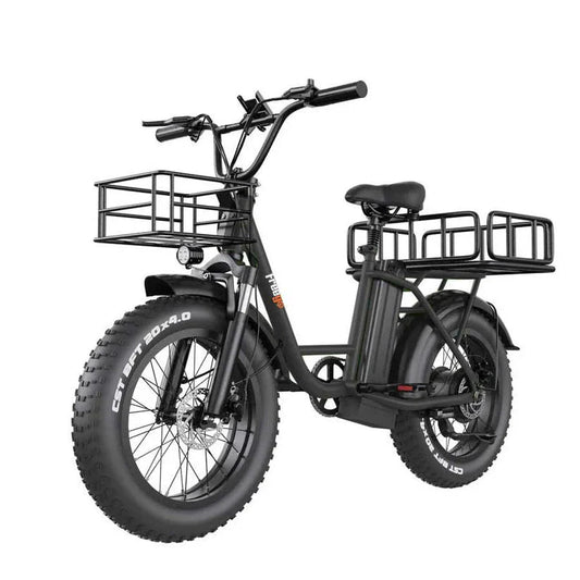 A white FREEGO FB-20X step-thru electric cargo eBike with a rear cargo rack, 750W motor, and commuter-friendly design, shown from a side angle.