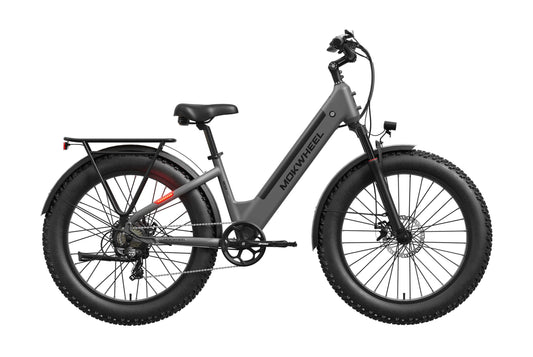Gray Mokwheel Mesa Plus ST eBike side view, showcasing step-through frame, battery, and tires against a plain background.