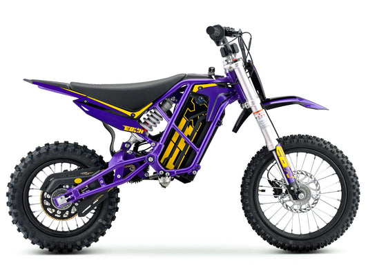 Purple and gold eMOTO Ebox V3 60 R electric dirt bike, side view, on a white background