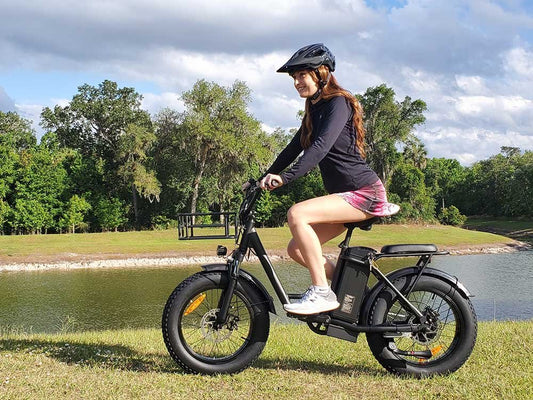 FREEGO Electric Cargo eBike FB-20X Step-thru-Step Thru 750 w Electric Communter eBike