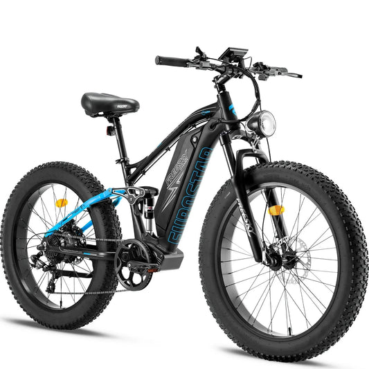 FREESKY Eurostar M-410 1000 w Mountain Ebike 4 Fat Tire Electric Fat Tire Mountain eBike