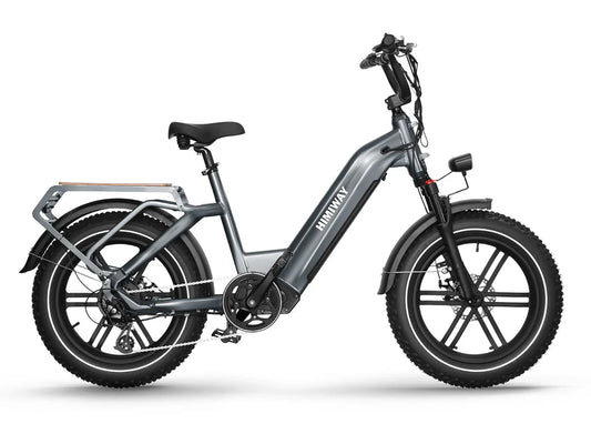 HIMIWAY Big Dog 750 w Step Thru Ebike 20x4 Fat Electric Cargo eBike