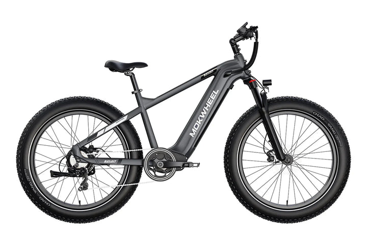 Basalt| Long Range Electric Mountain Bike for Adults| Mokwheel Ebikes