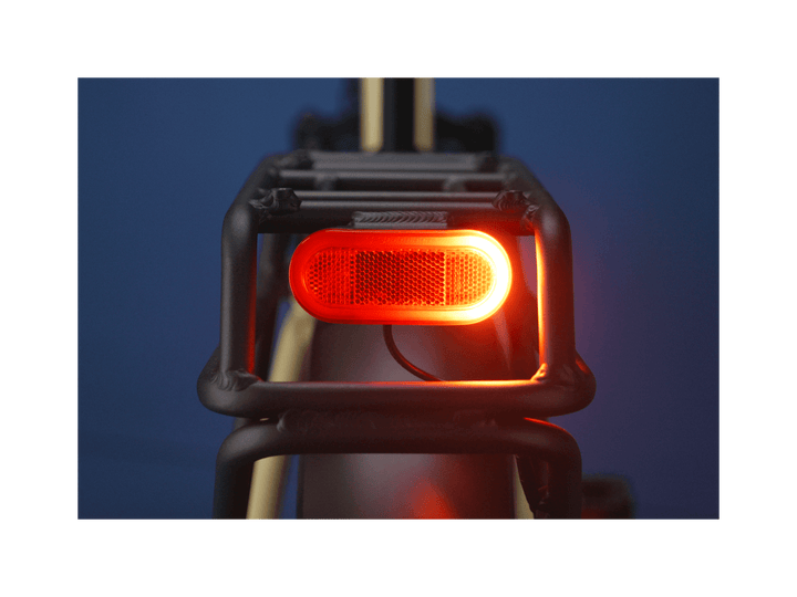 RadExpand™ 5 Plus Electric Folding Bike - Electric Bike - 103 - 00055 eBike Super Shop