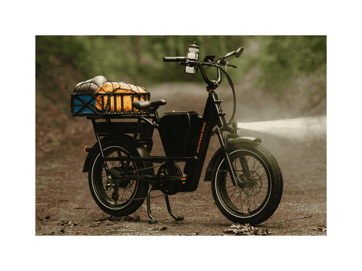 RadRunner™ Max Electric Cargo Utility Bike - Electric Bike - 106 - 00067 eBike Super Shop
