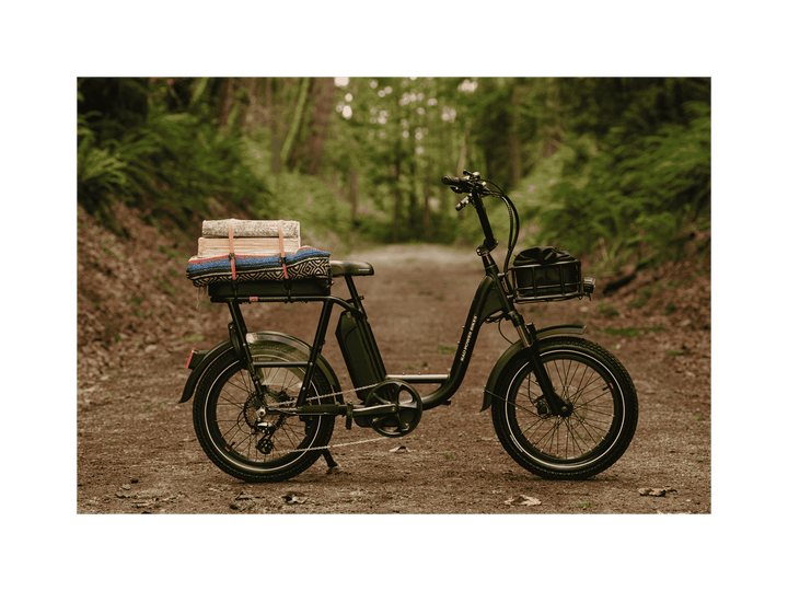 RadRunner™ Plus Electric Cargo Utility Bike - Electric Bike - 106 - 00065 eBike Super Shop