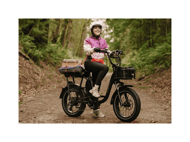 RadRunner™ Plus Electric Cargo Utility Bike - Electric Bike - 106 - 00065 eBike Super Shop