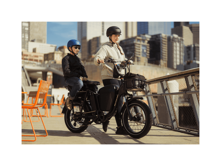 RadRunner™ Plus Electric Cargo Utility Bike - Electric Bike - 106 - 00065 eBike Super Shop