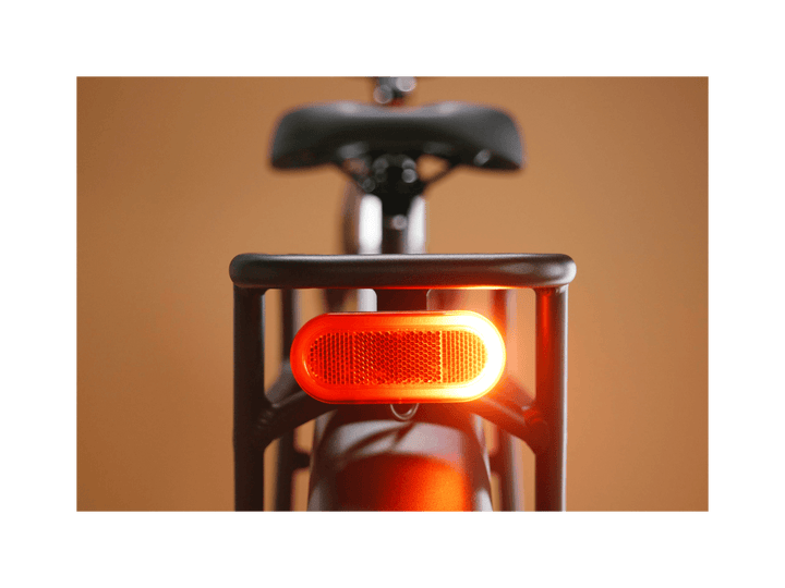 Radster™ Trail Electric Off - Road Bike - Electric Bike - 109 - 00003 eBike Super Shop