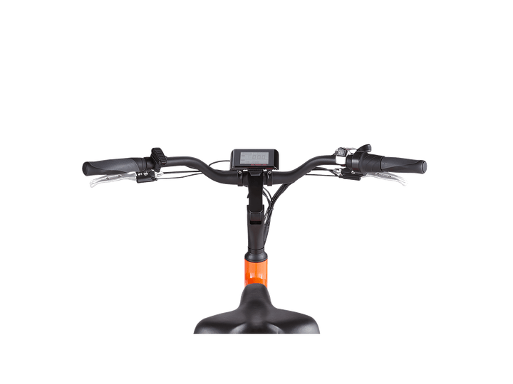 RadWagon™ 4 Electric Cargo Bike - Electric Bike - 102 - 00016 eBike Super Shop