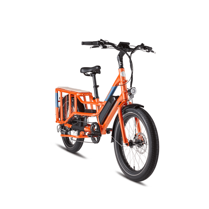 RadWagon™ 4 Electric Cargo Bike - Electric Bike - 102 - 00016 eBike Super Shop