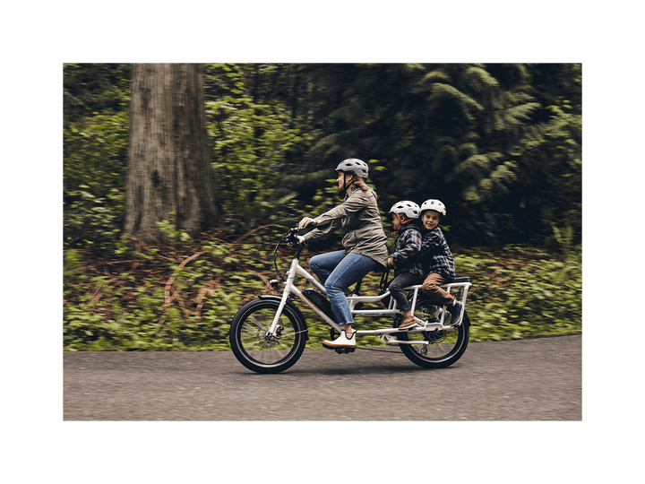 RadWagon™ 4 Electric Cargo Bike - Electric Bike - 102 - 00016 eBike Super Shop