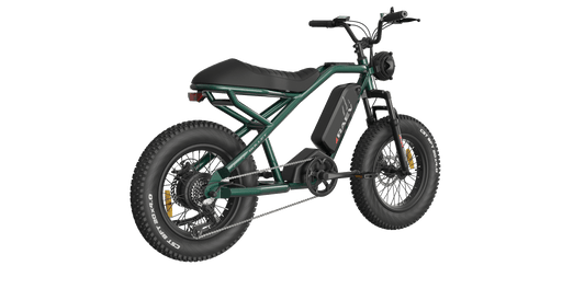 RAEV Bullet SE Electric e-Moto Style eBike-Moto 500 w Electric Pit Bike