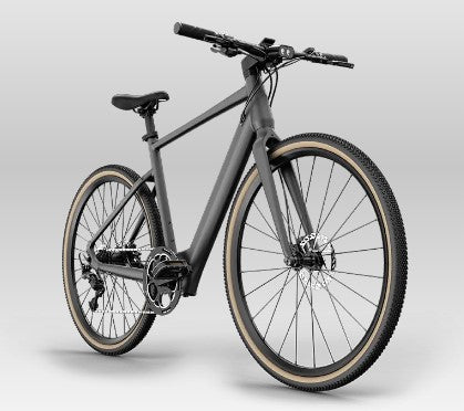 FIIDO C21 E-GRAVEL Electric Bike - Step Over - Dark Gray / L(5'6''-6'4'') / Yes +$75