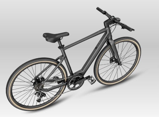 FIIDO C21 E-GRAVEL Electric Bike - Step Over