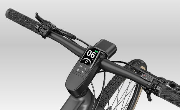 fiido c21 gravel bike FIIDO C21 E-GRAVEL Electric Bike - Step Over