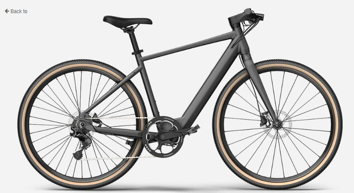 gravel e bikes 2021 FIIDO C21 E-GRAVEL Electric Bike - Step Over
