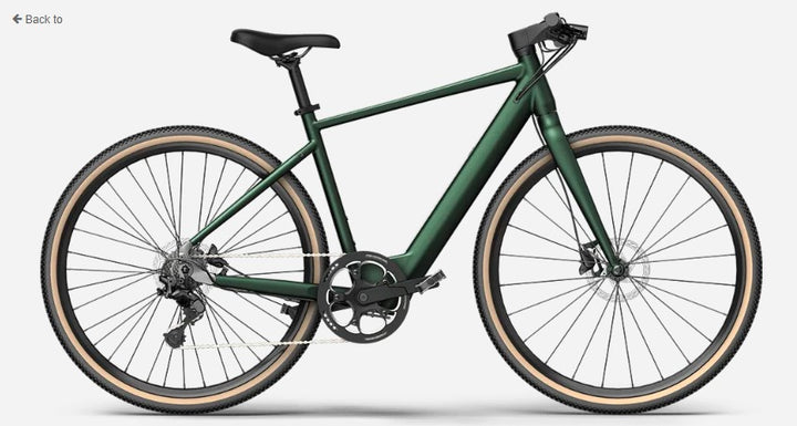 fiido e-gravel c21 elektrofahrrad test FIIDO C21 E-GRAVEL Electric Bike - Step Over