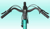 FIIDO C22 E-GRAVEL Electric Bike - Step Thru