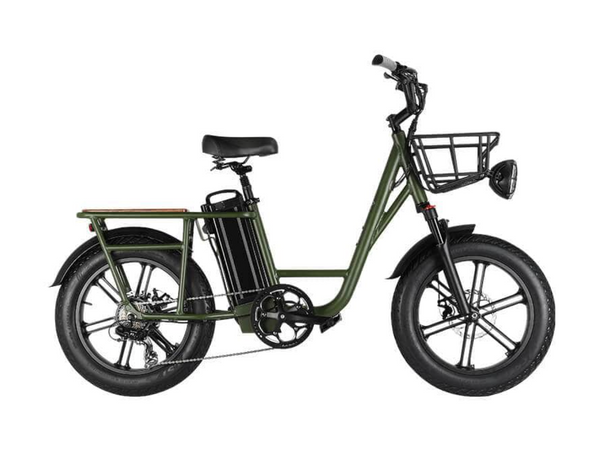 fiido e-gravel c21 electric bike FIIDO C21 E-GRAVEL Electric Bike - Step Over