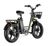 FIIDO T1 - Electric Cargo Bike