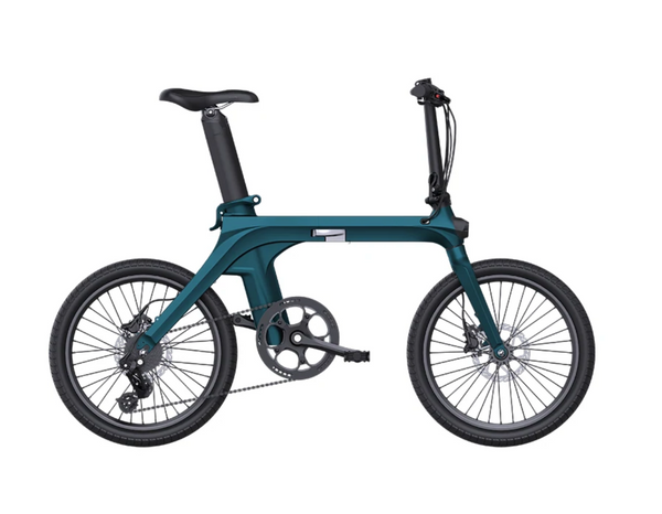 fiido e-gravel c21 elektrofahrrad FIIDO C21 E-GRAVEL Electric Bike - Step Over