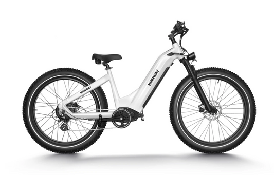 Himiway Zebra - Premium All Terrain Fat Tire Electric Bike