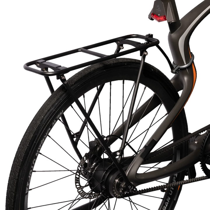 Rear Rack Carbon 1 1s Pre Order for Delivery in End September Earl EZE Ryders Electric Bike Shop